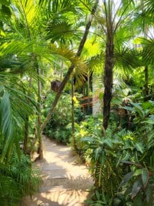Jardin Botanique