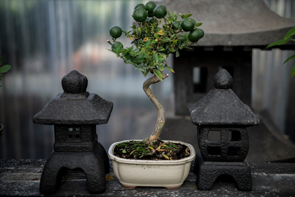 ZEN