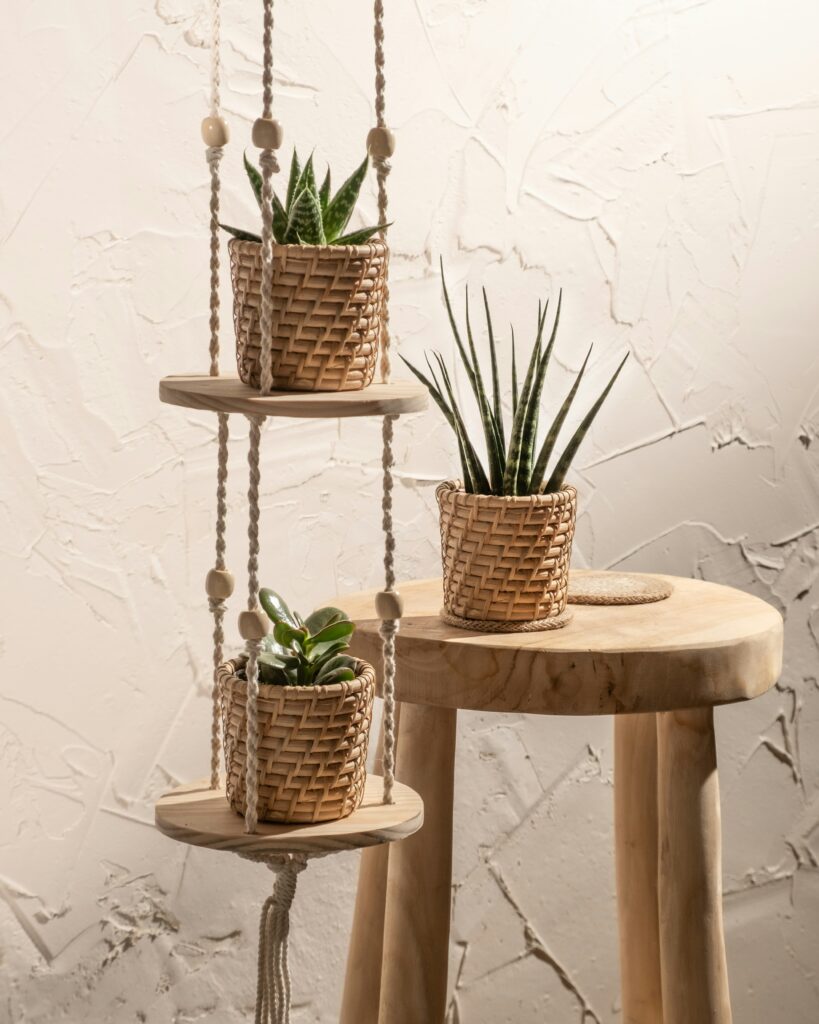 Plante sur tabouret