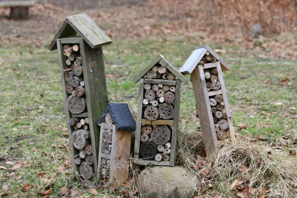abris pour insectes